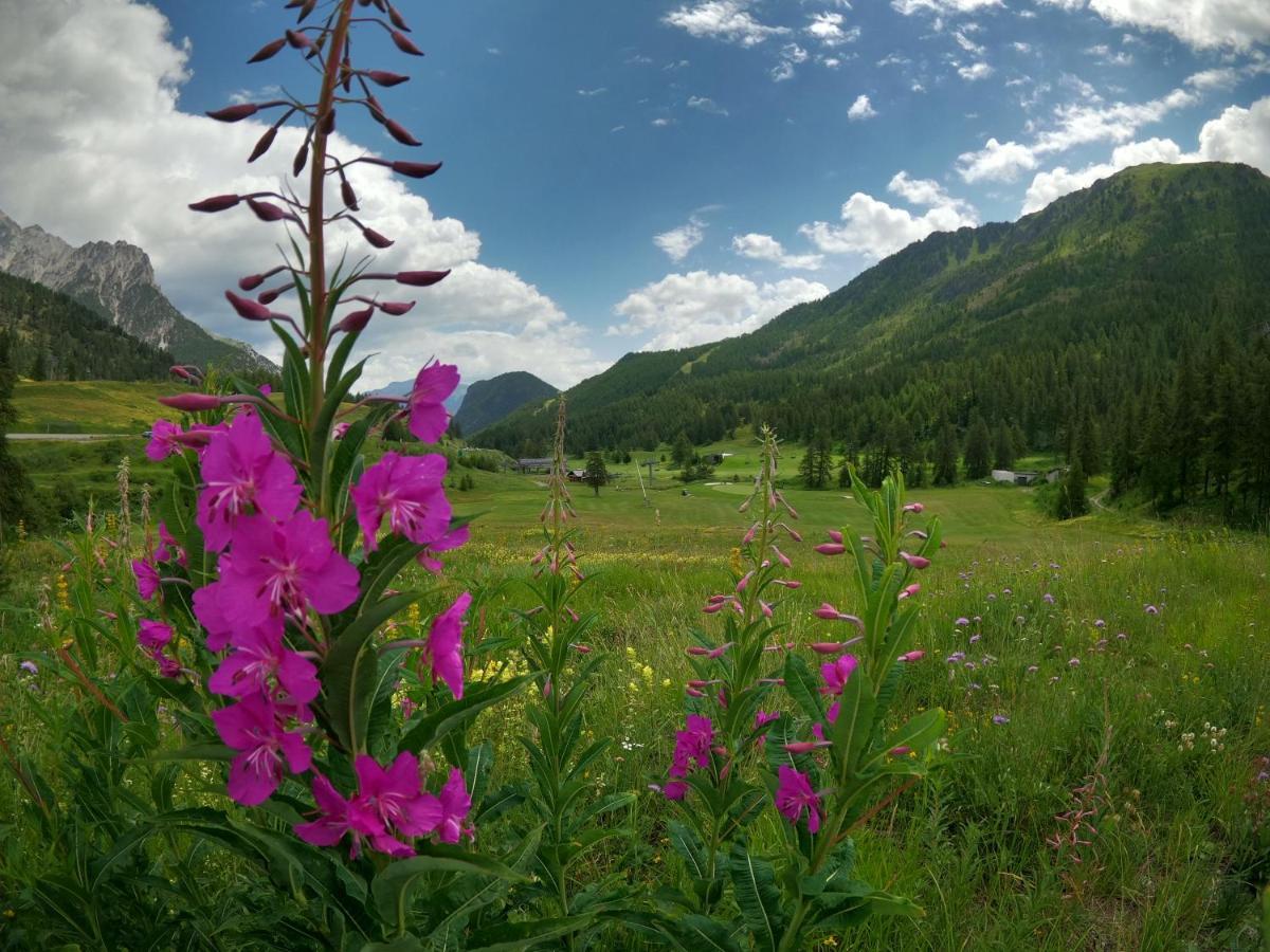 L'Etesy, Pied Des Pistes Et Spa Montgenèvre Exteriör bild